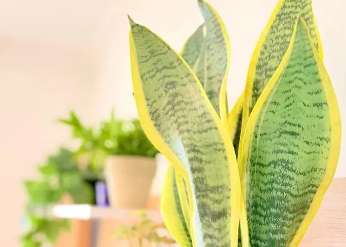 M Mendez Cozy 3br 2bath